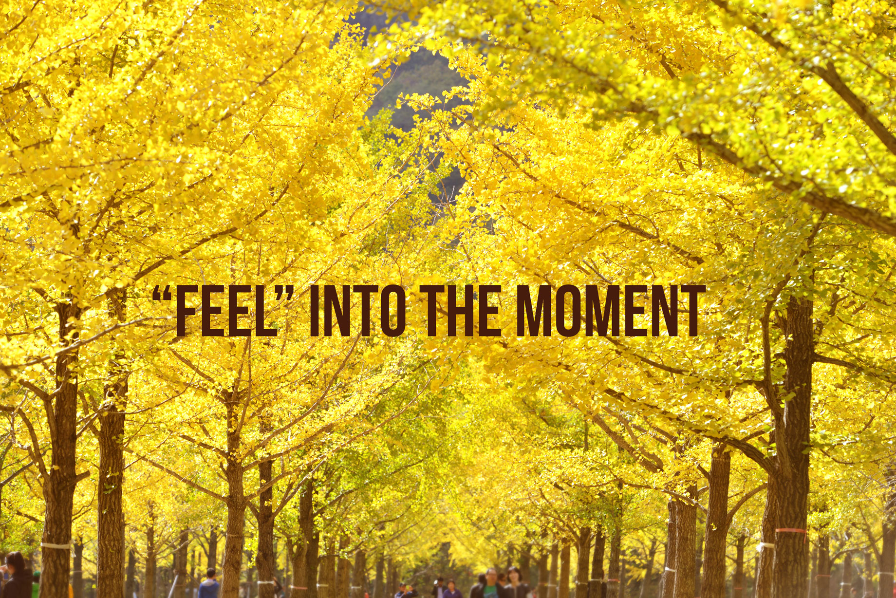 feel into moment