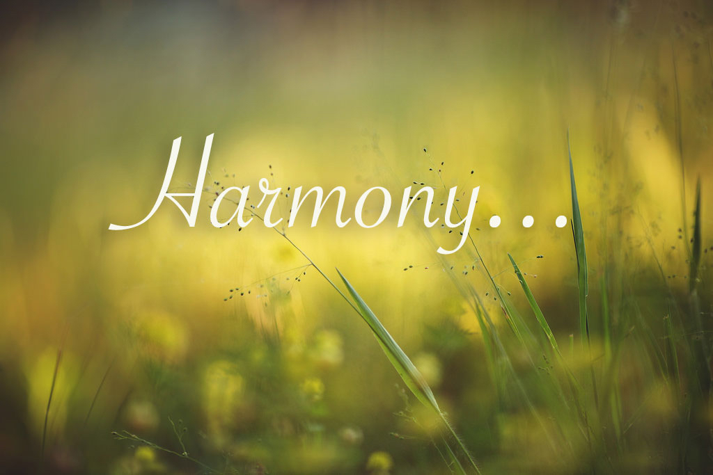 harmony