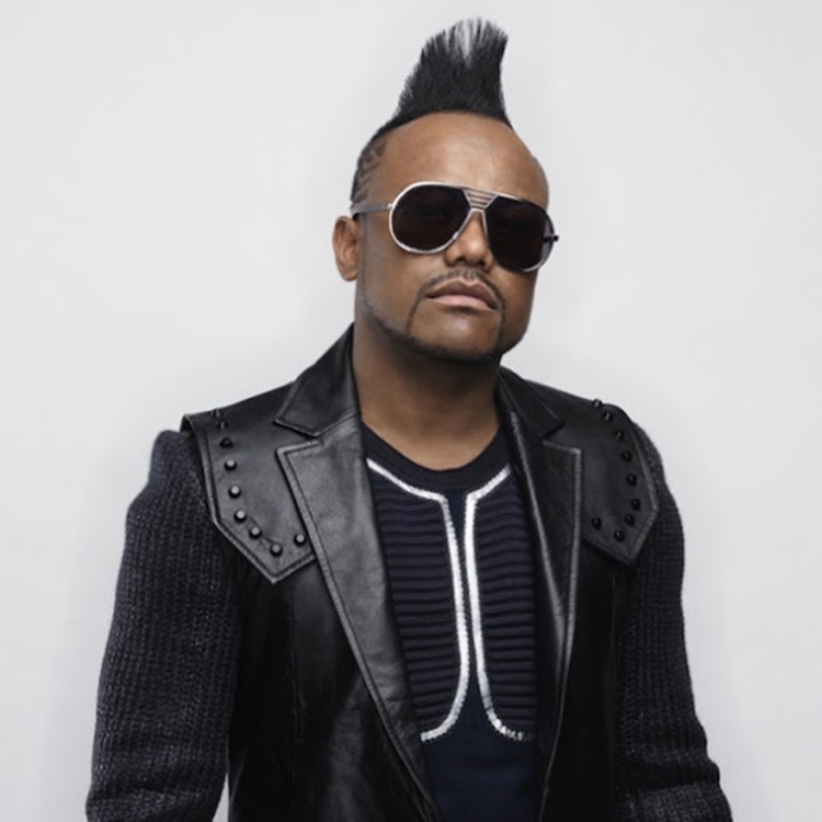 Indie Creator in the JOYzone...Apl.de.AP {Song, Wisdom + Possible ...