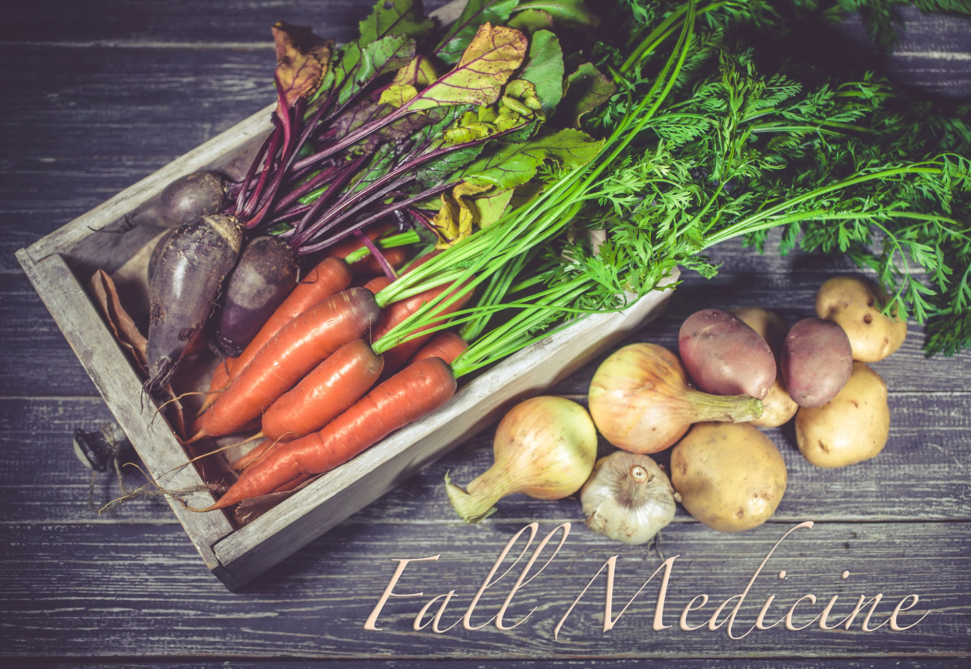 fallmedicine fall menu cooking classes