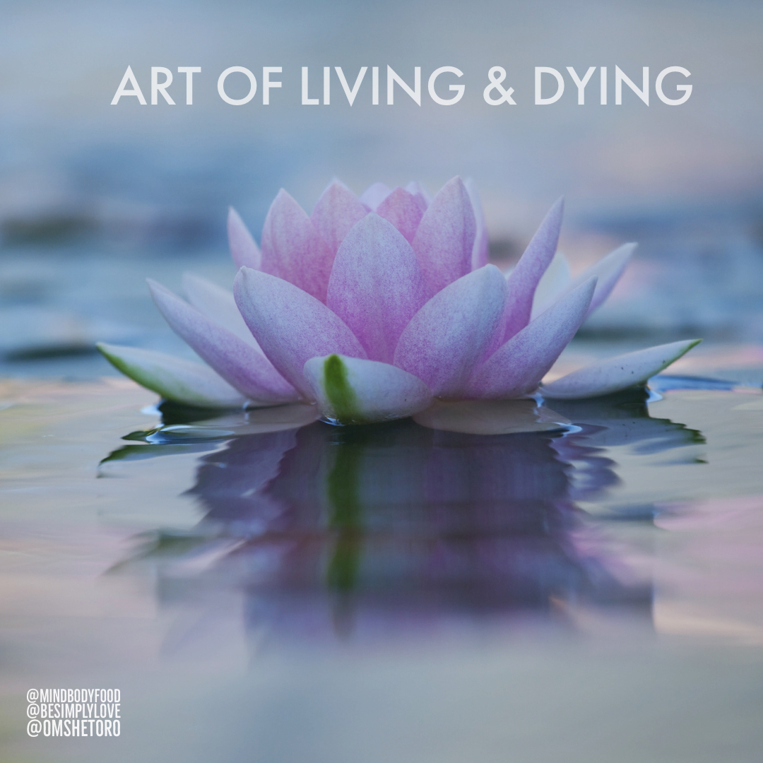 artoflivinganddying